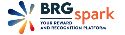 BRG Spark Logo