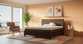 Earn 5% Cashback on purchases